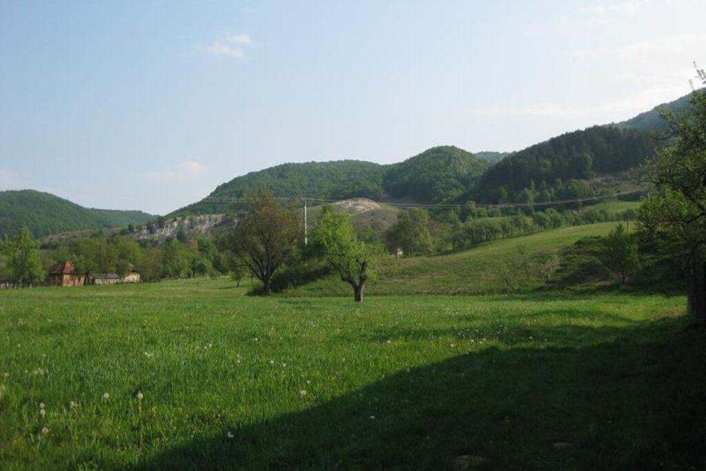 Borod