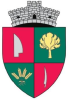 Stemă Borș